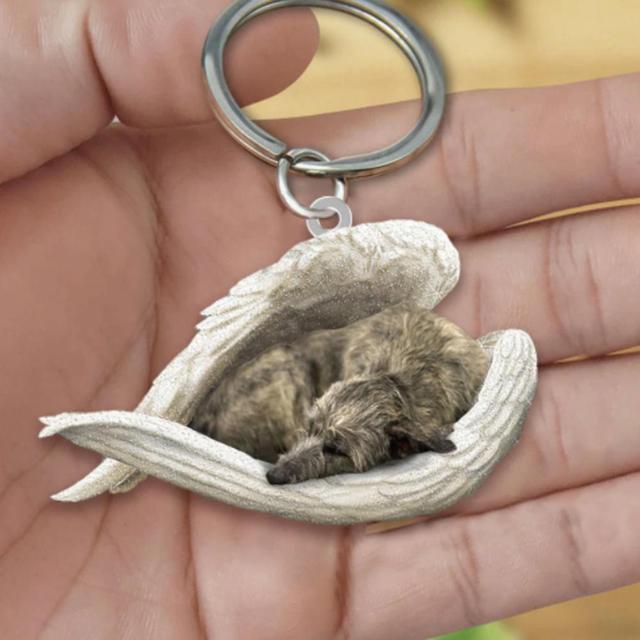 Dog Sleeping Angel Keychains