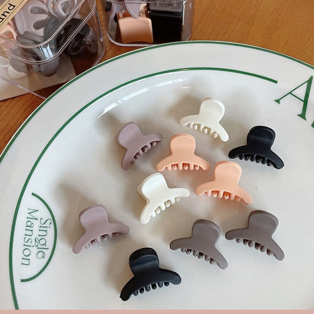 Luxury Matte Plastic Mini Hair Claws