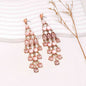 Alloy & Rhinestone Teardrop Earrings