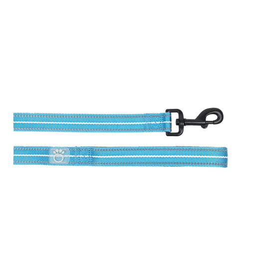 Reflective Leash - Neon Blue