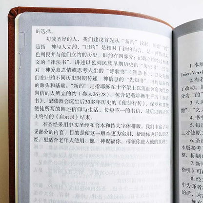 The Holy Bible Large Print 25K Imitation Leather The Chinese Union Version (CUV)  Thumb Index Simplified Chinese Church Edition